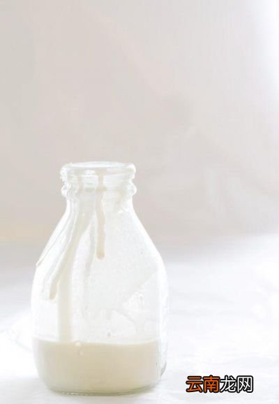 三七粉加牛奶的好处