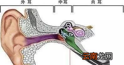 为什么坐飞机会导致耳朵疼