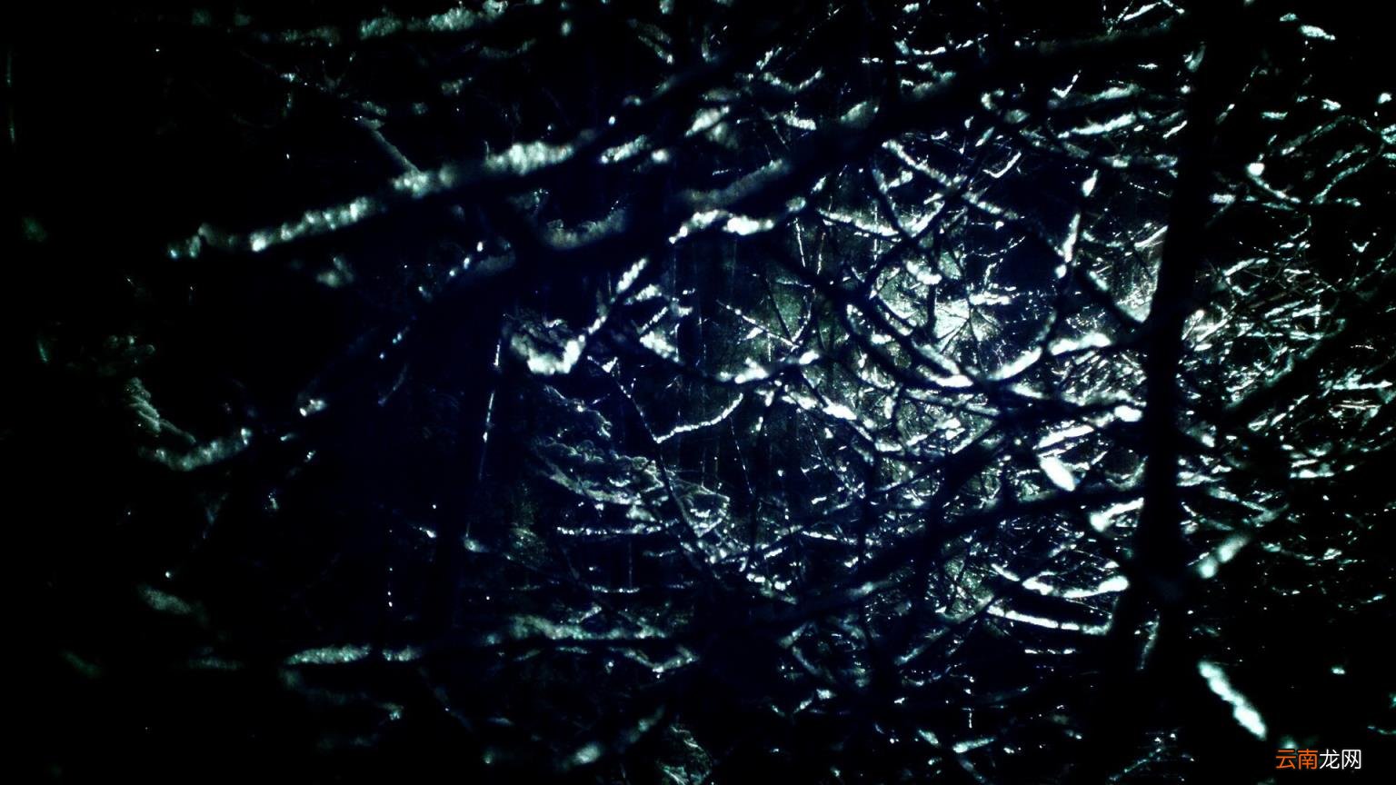 用“革”字组词