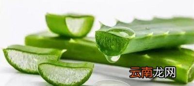 芦荟可以直接涂脸上吗
