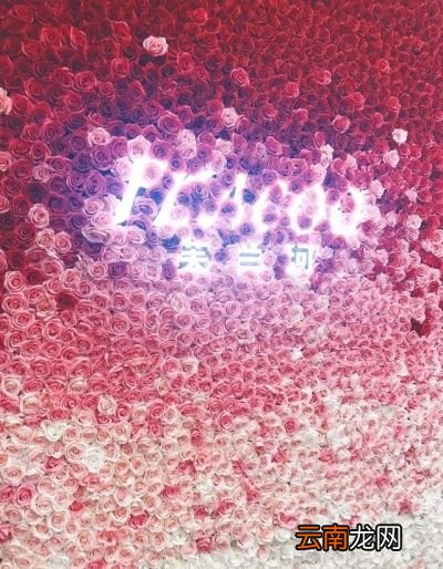 芦荟可以直接涂脸上吗