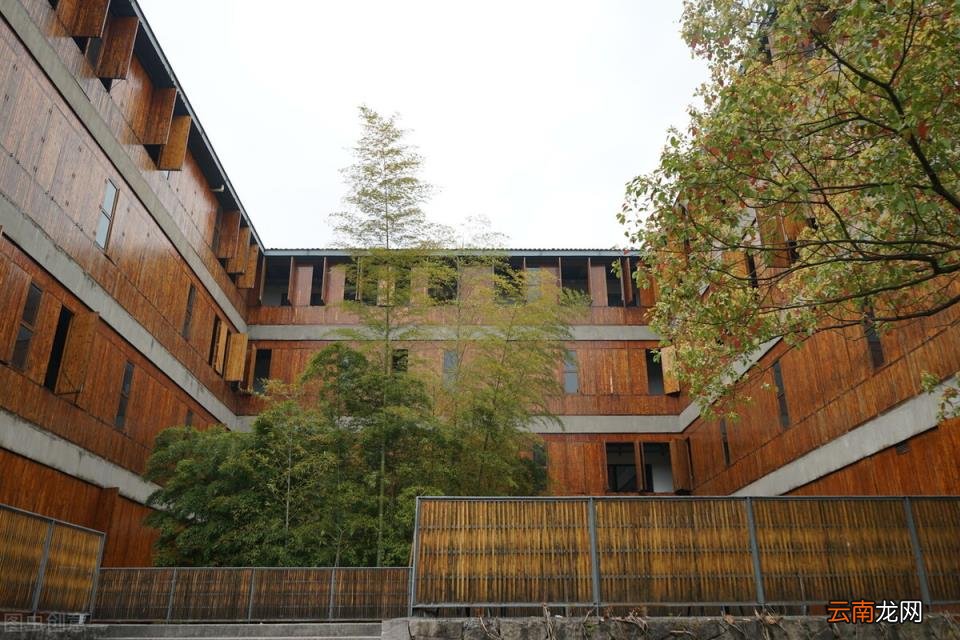 2021年中国美术学院录取分数线是多少