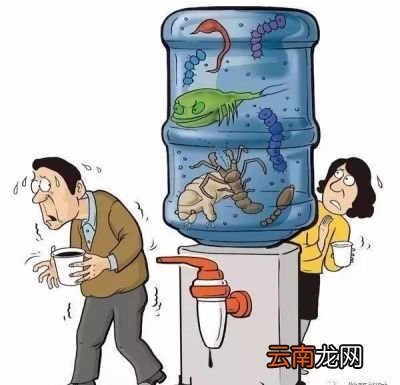 桶装水是什么水