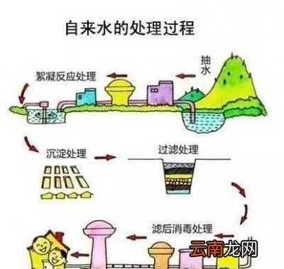 桶装水是什么水