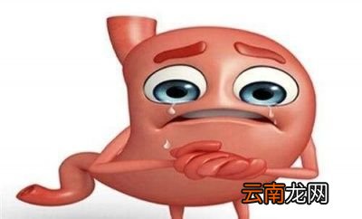 胃不好该怎么办
