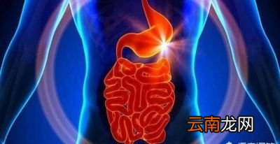 胃不好该怎么办