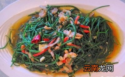 沙葱市场行情如何