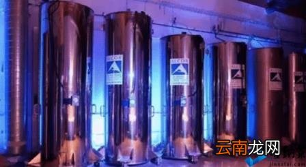 好男人不过是说说而已? 中国首例“冷冻人”丈夫谈新感情