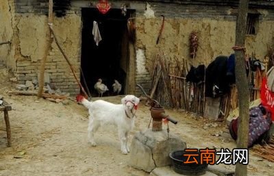 “大暑”期间哪一件事情不能做呢