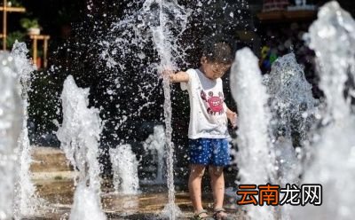 “大暑”期间哪一件事情不能做呢