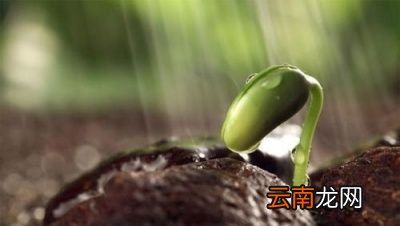 大暑至立秋之间的日子不能做什么