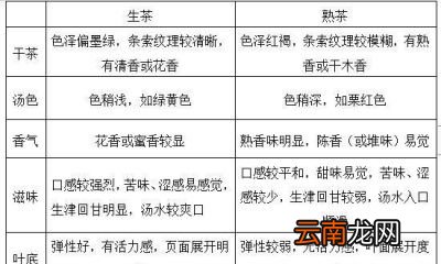 生普和熟普品质特征的区别