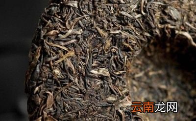 生普和熟普品质特征的区别