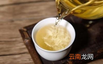 生普和熟普品质特征的区别