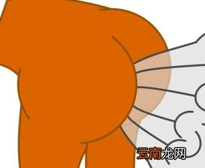 经常放屁是消化好还是肠胃差屁放多少才正常