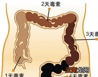吃什么食物经常放屁呢