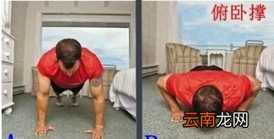 选择俯卧撑还是跑步