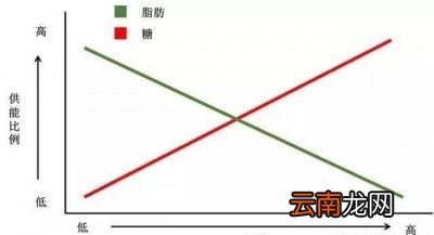 跑步多久能够减肥