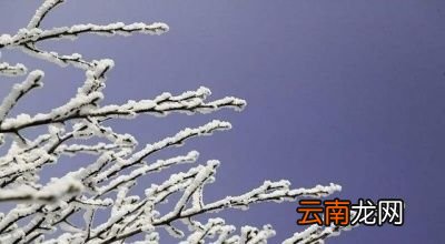 “两春夹一冬”这句话是什么意思