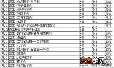 2020年武汉大学录取分数线一览表