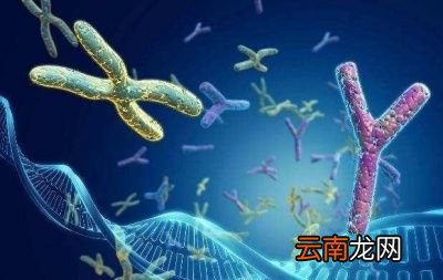 子宫肌瘤需手术治疗吗