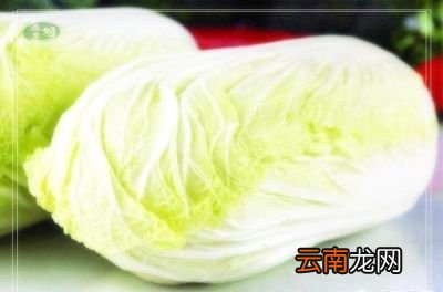 水果类 秋天吃哪些美食不易上火