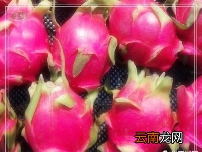 水果类 秋天吃哪些美食不易上火