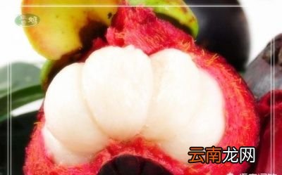 水果类 秋天吃哪些美食不易上火