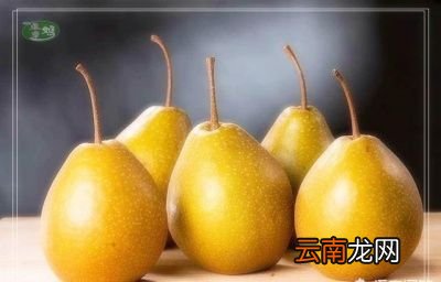 水果类 秋天吃哪些美食不易上火