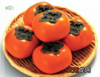 水果类 秋天吃哪些美食不易上火