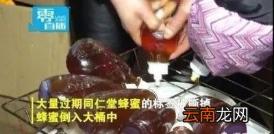 过期的蜂蜜蜜蜂能吃吗