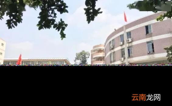 成都私立小学有哪些收费如何 2022年成都私立民办学校排行榜