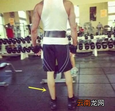 单练俯卧撑和仰卧起坐能不能练出肌肉