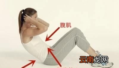 单练俯卧撑和仰卧起坐能不能练出肌肉