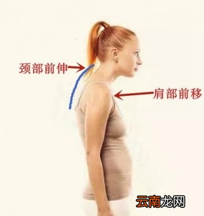 单练俯卧撑和仰卧起坐能不能练出肌肉