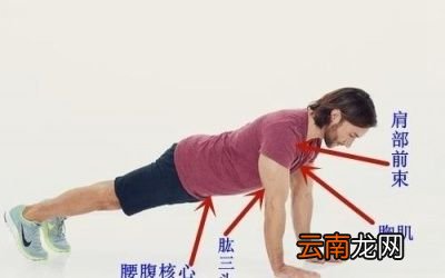 单练俯卧撑和仰卧起坐能不能练出肌肉