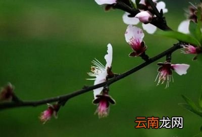 今年的立春到底算早还是晚