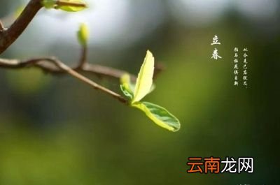 今年的立春到底算早还是晚