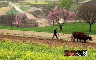 今年的立春到底算早还是晚