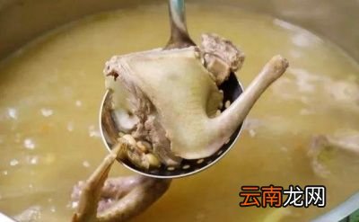 灵芝鸽子煲汤的做法