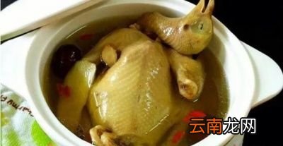 灵芝煲鸽子汤的做法