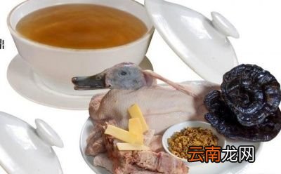 灵芝鸽子怎么样煲汤