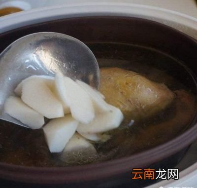 灵芝鸽子怎么样煲汤