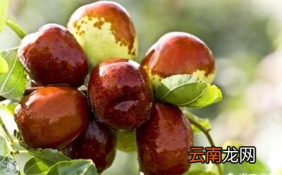 孕妇“缺铁性贫血”是怎么发生的