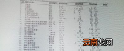 妊娠晚期缺铁性贫血怎么办当然是补铁啊