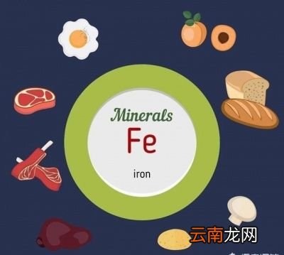 为什么孕妇怀孕后会容易出现缺铁性贫血