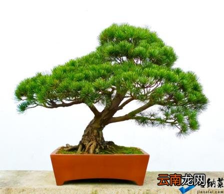 家庭手工活哪里找 残疾人在家做手工活哪里有