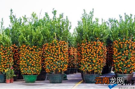 家庭手工活哪里找 残疾人在家做手工活哪里有