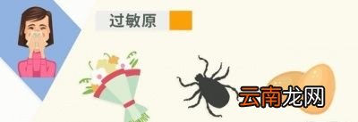 过敏性鼻炎的治疗方法有哪些