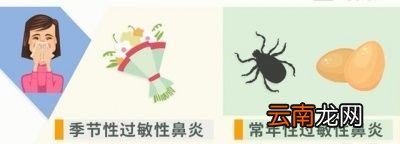 过敏性鼻炎的治疗方法有哪些